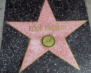 HOLLYWOOD WALK OF FAME